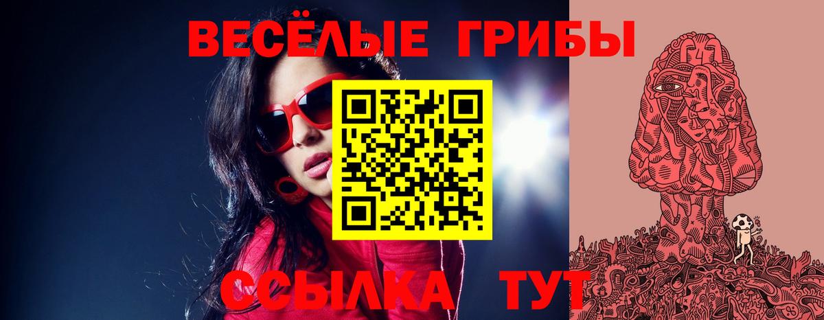 Тамбов  Галлюциногенные грибы Psilocybine cubensis  Вход с VPN 