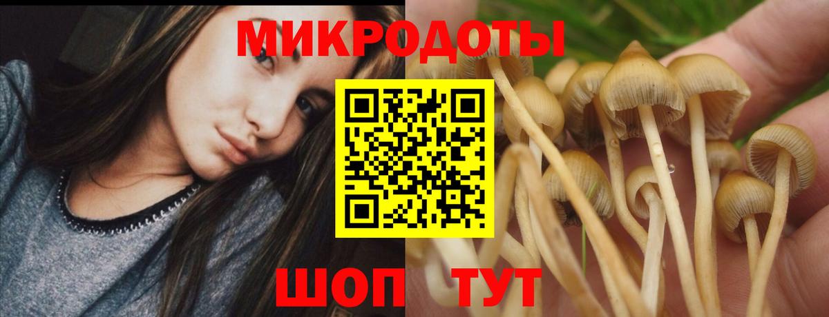 Галлюциногенные грибы ЛСД Тамбов