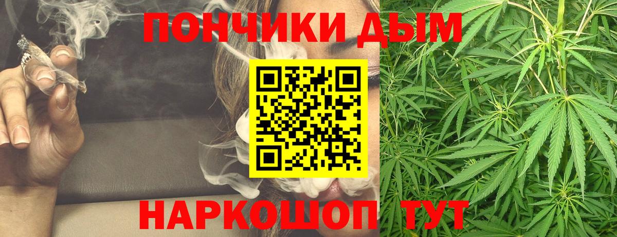 Бошки Шишки сатива Тамбов